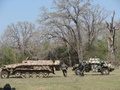 122.jpg