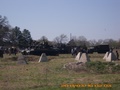 77.jpg